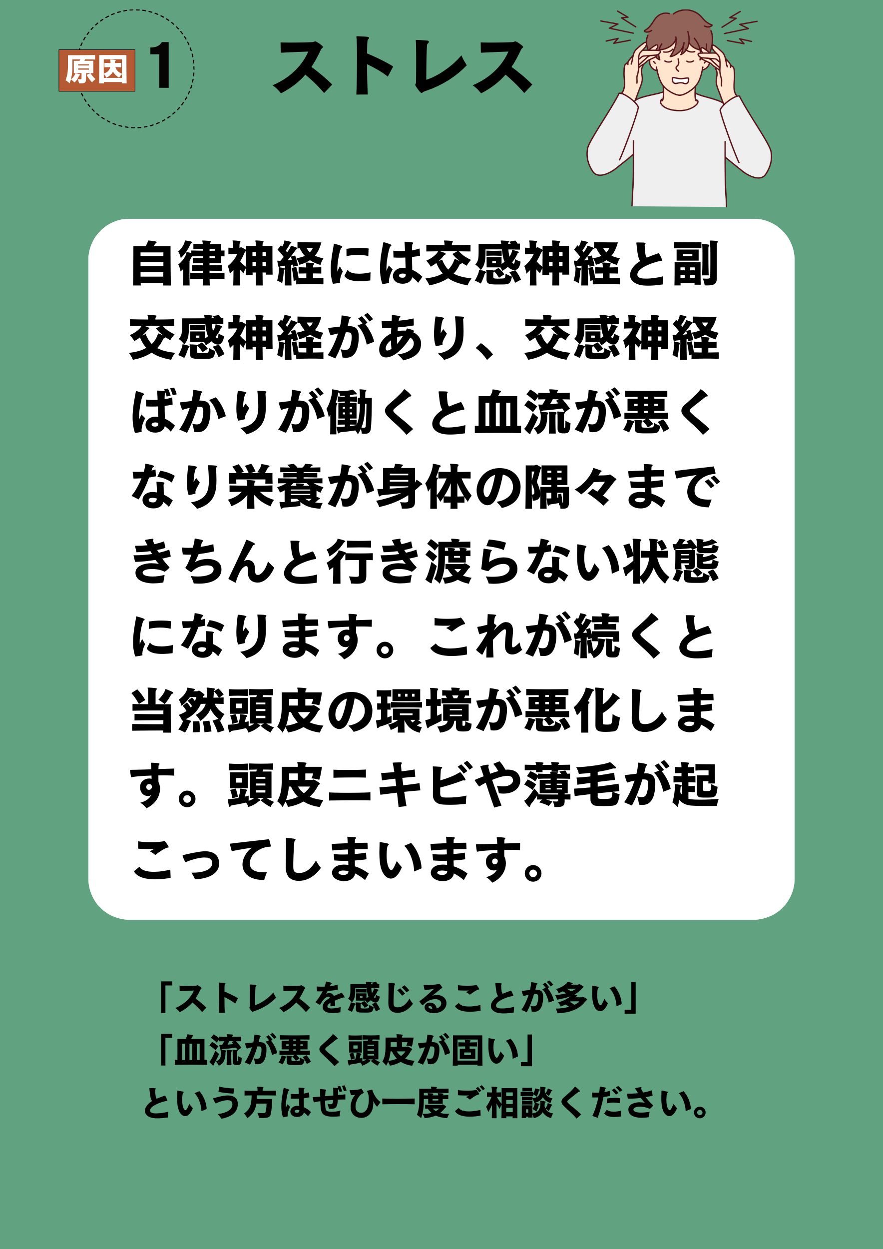 原因1
ストレス
自律神経には交感神経と副交感神経があり、交感神経ばかりが働くと血流が悪くなり栄養が身体の隅々まできちんと行き渡らない状態になります。これが続くと当髪の毛もダメージを受け抜け毛や薄毛が起こってしまいます。「ストレスを感じることが多い」「血流が悪く頭皮が固い」という方はぜひ一度ご相談ください。
